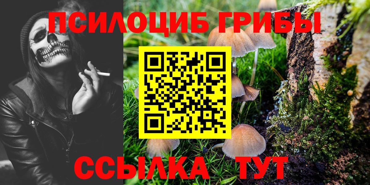 наркота  Вход с VPN  Озёры  Галлюциногенные грибы Cubensis 