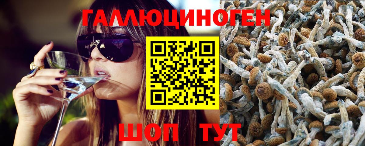 Псилоцибиновые грибы GOLDEN TEACHER Озёры